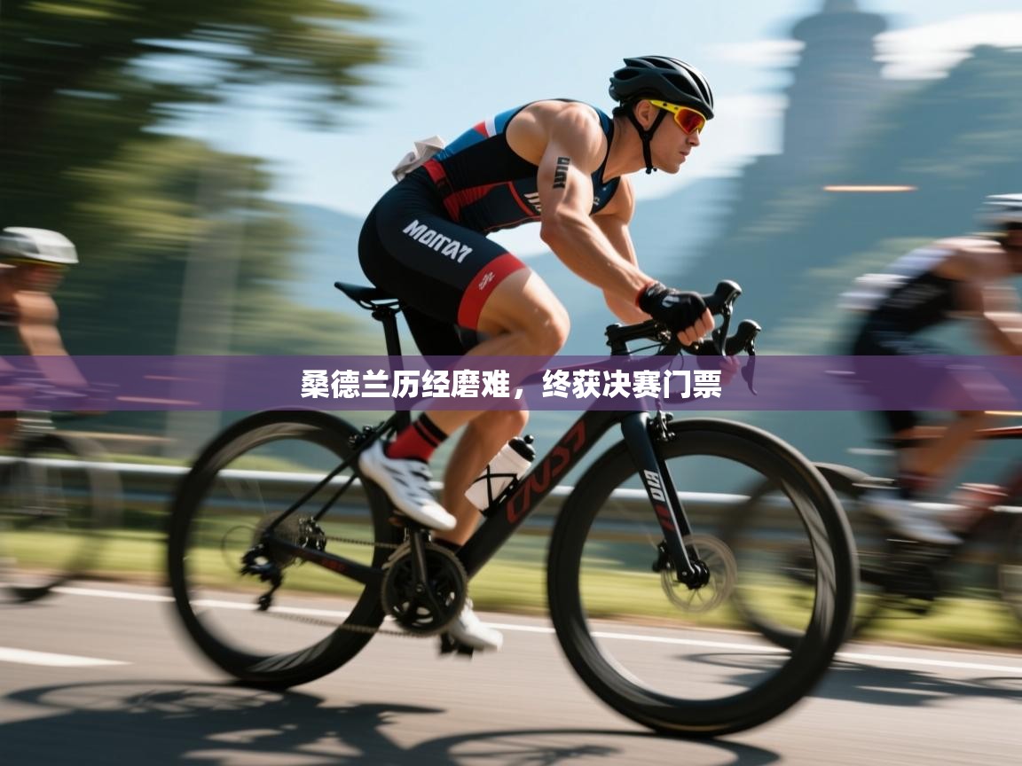 开云体育在线-桑德兰历经磨难,终获决赛门票  第1张