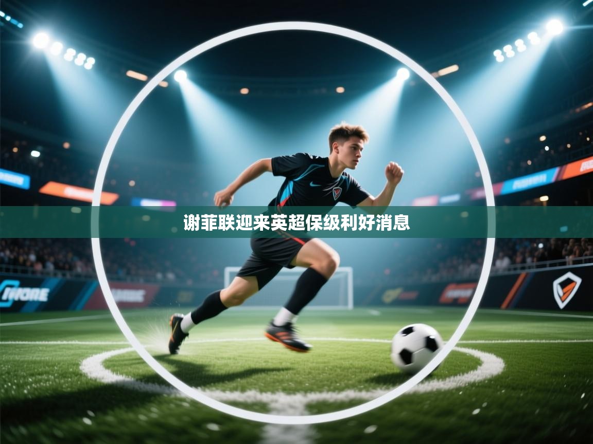 开云体育修改登录密码-谢菲联迎来英超保级利好消息  第1张