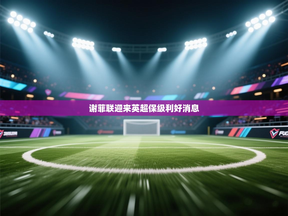 开云体育修改登录密码-谢菲联迎来英超保级利好消息  第2张