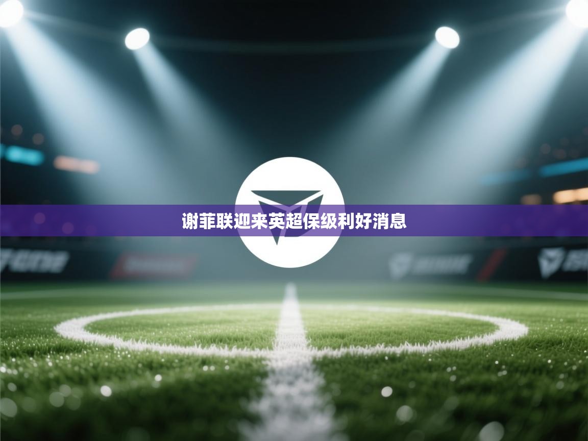 开云体育修改登录密码-谢菲联迎来英超保级利好消息  第3张