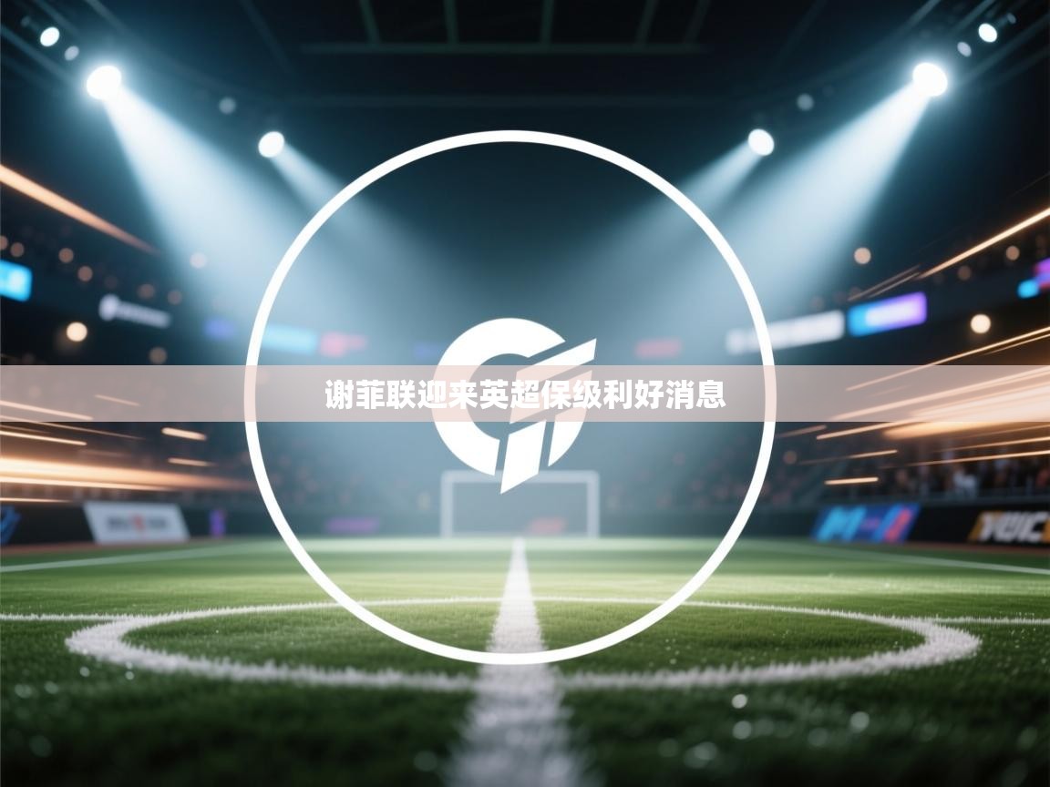 开云体育修改登录密码-谢菲联迎来英超保级利好消息  第4张