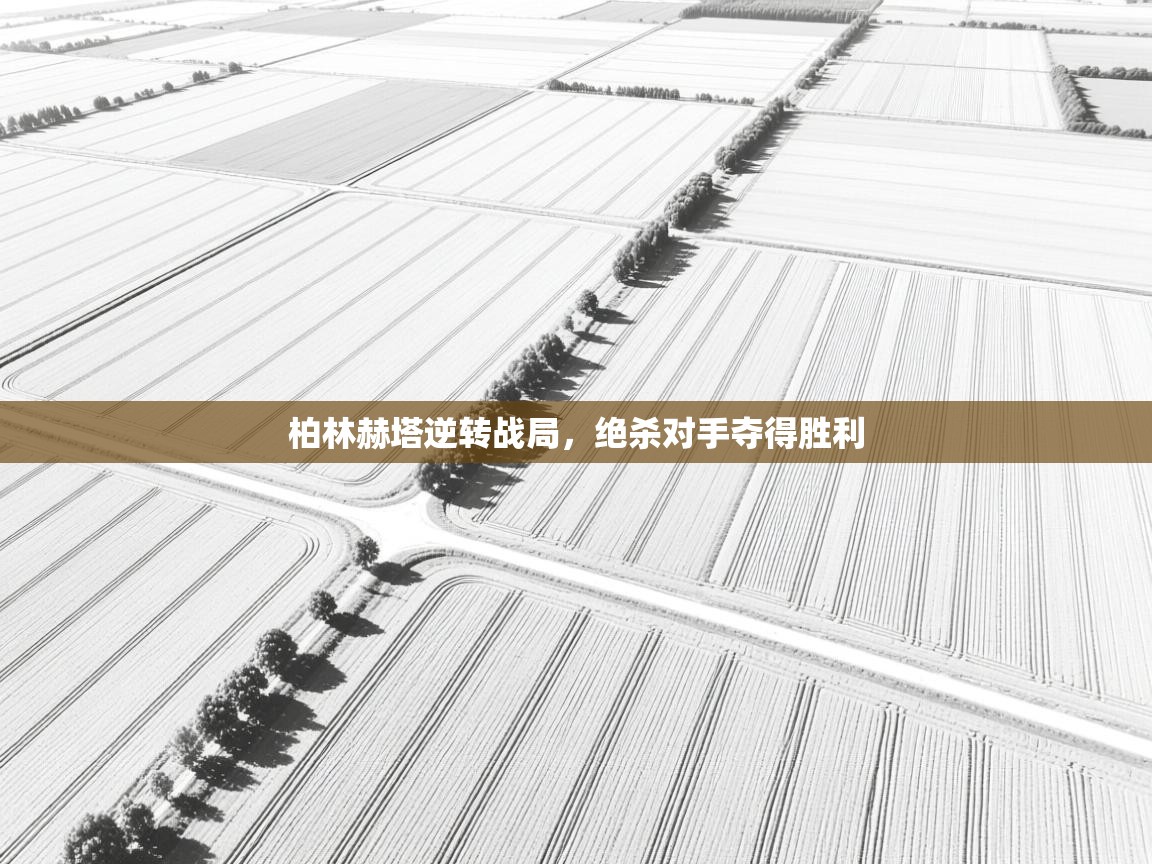 开云官网-柏林赫塔逆转战局，绝杀对手夺得胜利  第2张