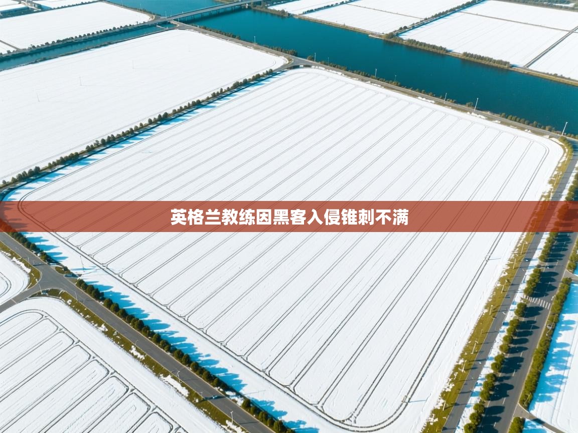 开云体育苹果版下载-英格兰教练因黑客入侵锥刺不满  第1张