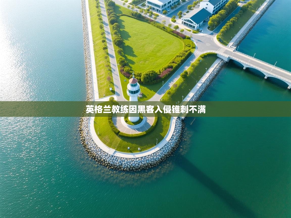 开云体育苹果版下载-英格兰教练因黑客入侵锥刺不满  第2张