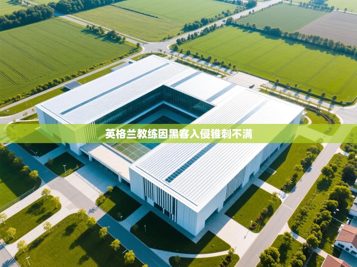 开云体育苹果版下载-英格兰教练因黑客入侵锥刺不满  第4张