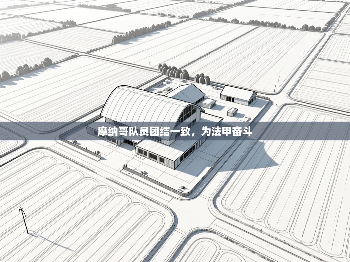 开云APP-摩纳哥队员团结一致，为法甲奋斗  第1张