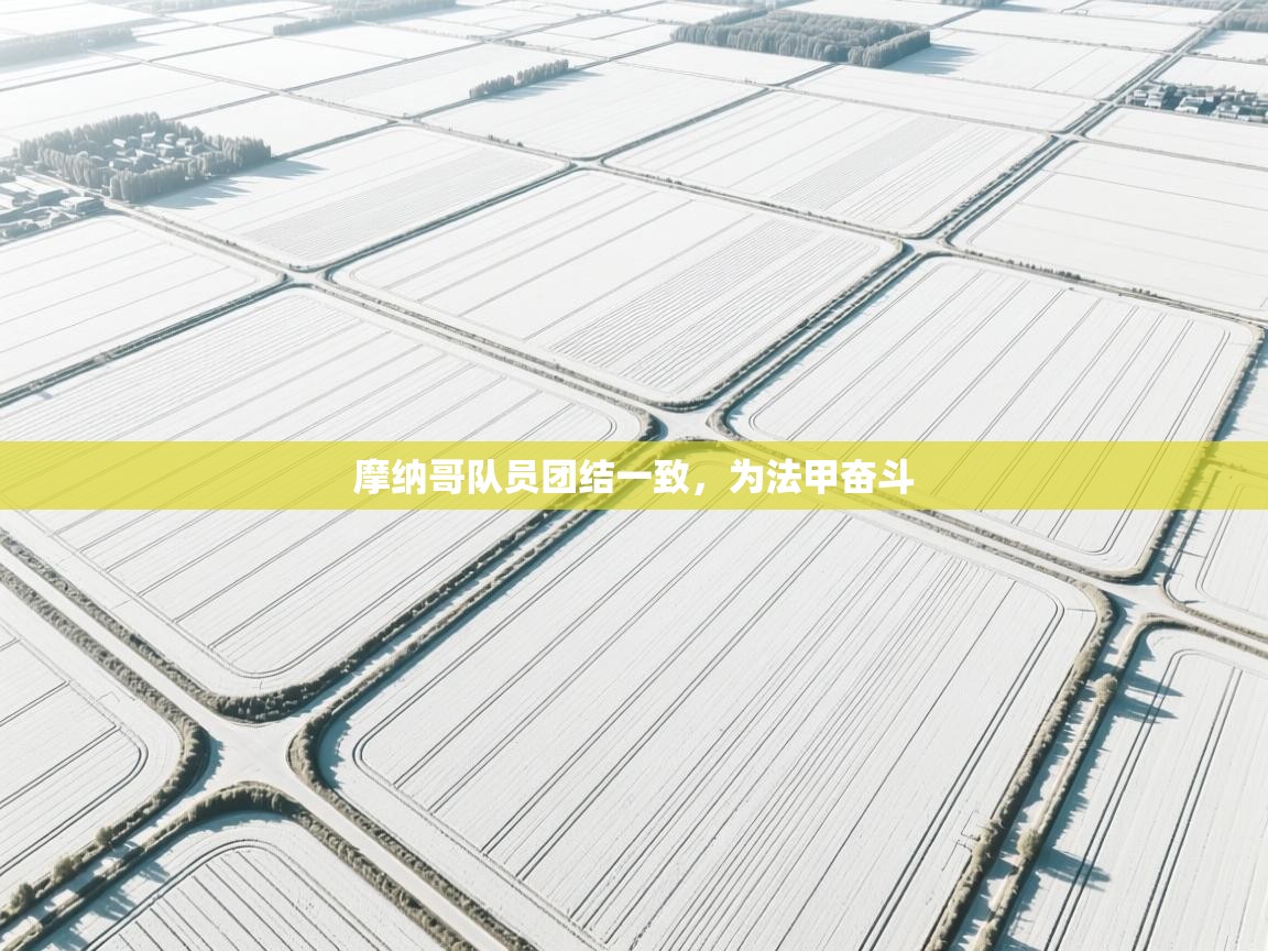 开云APP-摩纳哥队员团结一致，为法甲奋斗  第4张