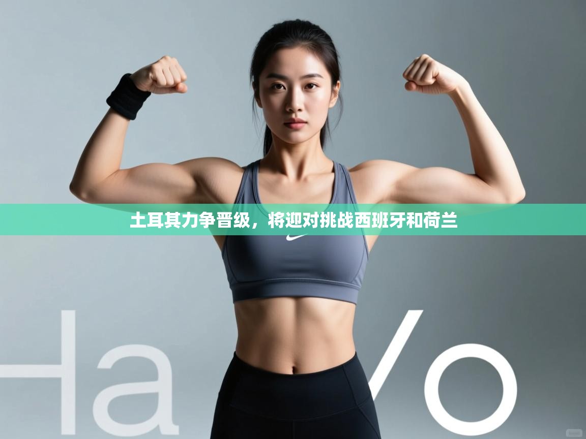 开云登录-土耳其力争晋级，将迎对挑战西班牙和荷兰  第1张