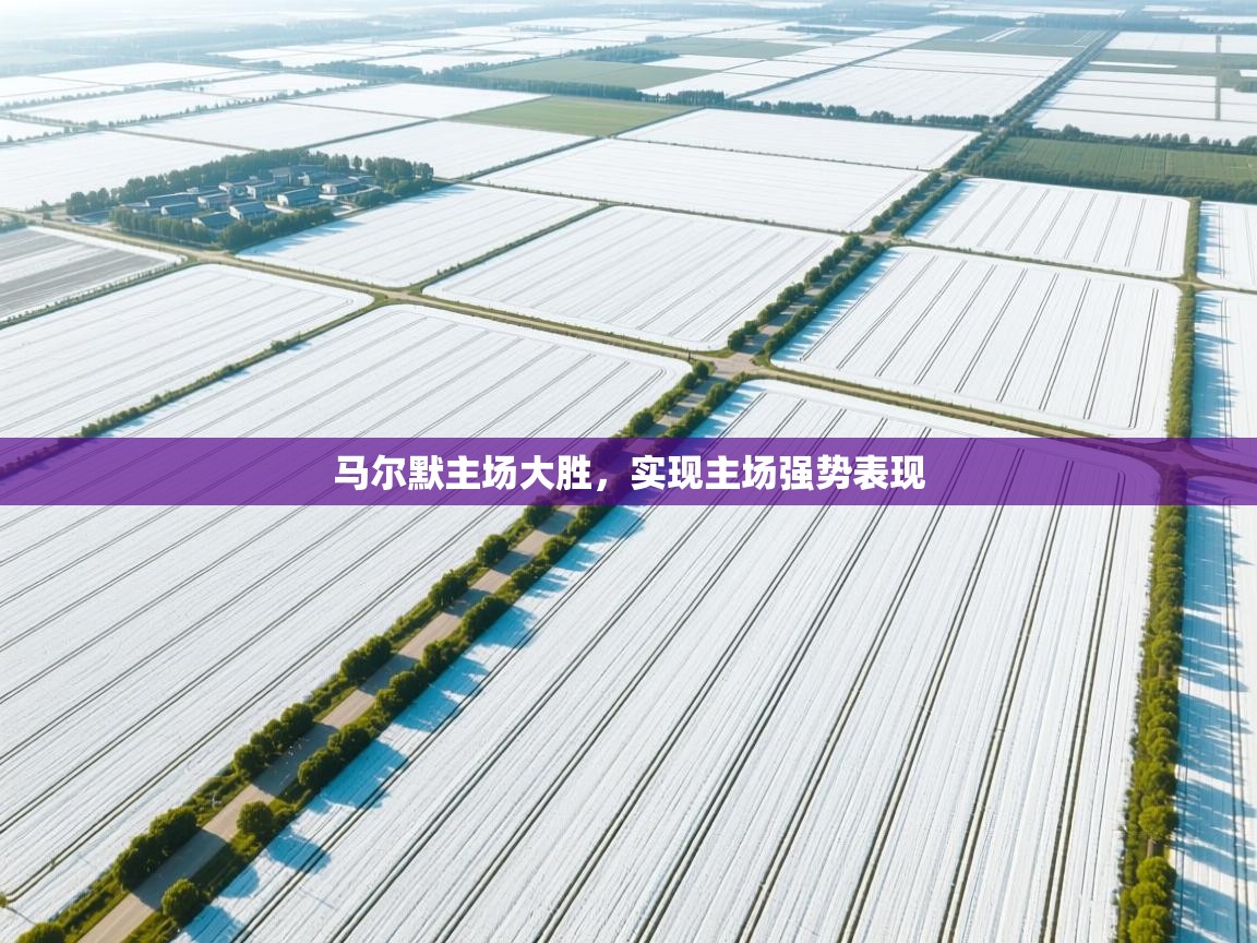 开云体育官方版下载-马尔默主场大胜，实现主场强势表现  第4张