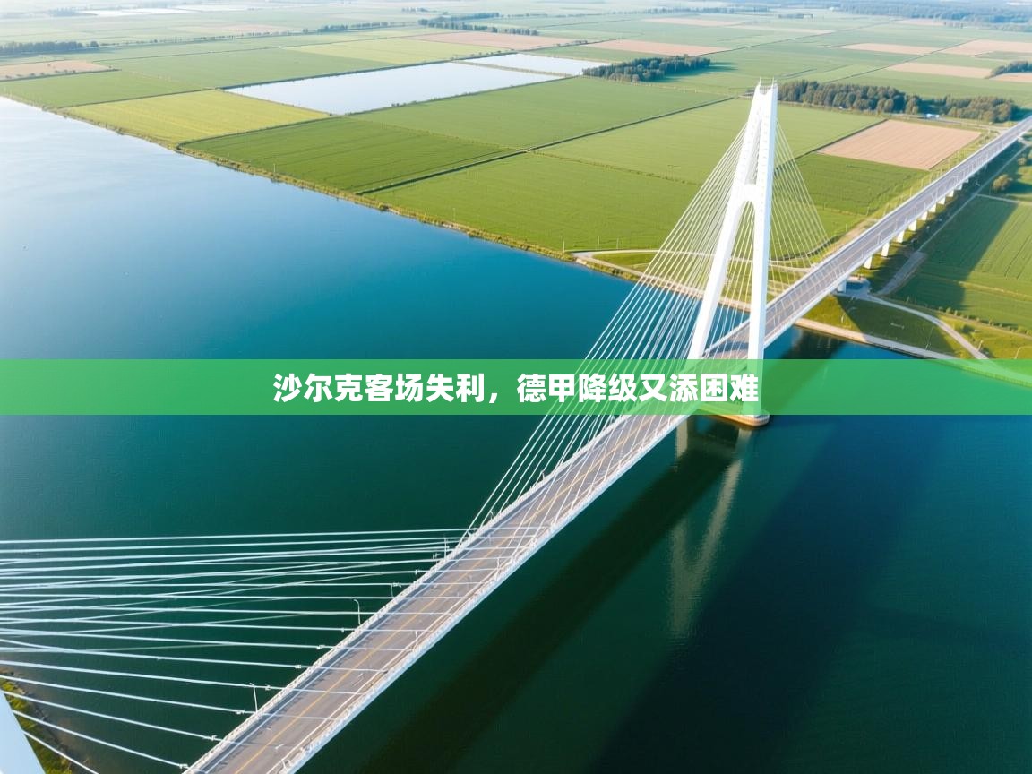 开云体育旧版下载地址-沙尔克客场失利，德甲降级又添困难  第2张